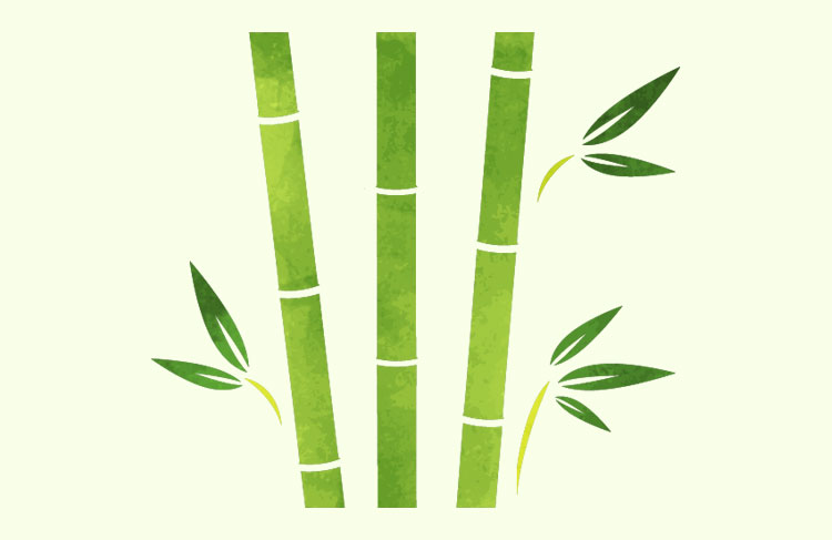 オーガニックバンブーは竹を使った素材